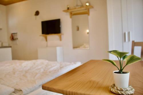 a potted plant sitting on a wooden table next to a bed at gemütlicher Gartenbungalow (Nr. 1) mit Terrasse - Strandvogtei Sellin in Ostseebad Sellin