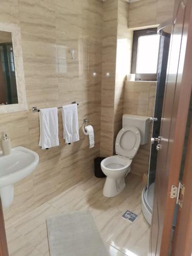 a bathroom with a toilet and a sink at VILA ALICE & DENIS in Bran