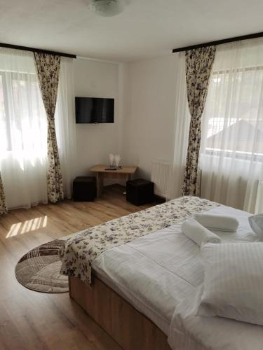 a bedroom with a large bed and a television at VILA ALICE & DENIS in Bran