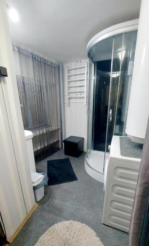 y baño con ducha y aseo. en Basilica Centrum Apartment Budapest, en Budapest