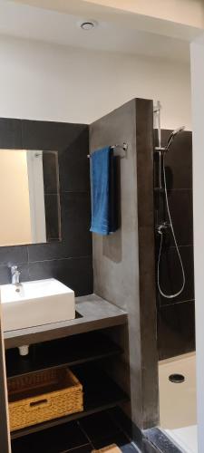 une salle de bain avec un lavabo et une douche dans l'établissement La marine, à Rogliano