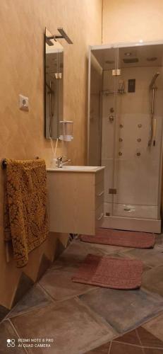 a bathroom with a sink and a shower with a mirror at Loft le Pavoncelle in Ittiri