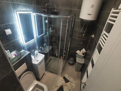 un piccolo bagno con doccia e servizi igienici di Apartman Vux a Banja Luka