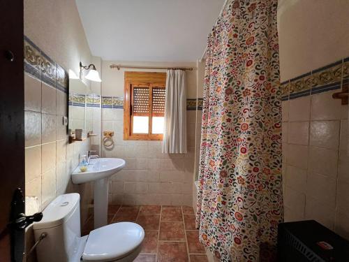 アルダレスにあるApartamentos Virgen de Villaverdeのバスルーム(トイレ、洗面台、シャワーカーテン付)