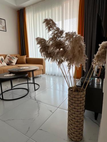 Art Life apartments BOHO