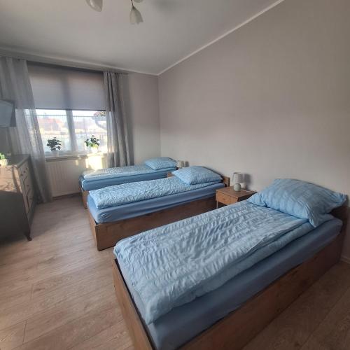 a bedroom with three beds and a window at Noclegi Arka in Osiek