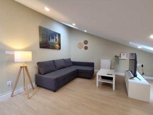 Atico Porta de Santiago - Junto Catedral - VUT-LU-02906