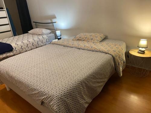 Duas camas sentadas uma ao lado da outra num quarto em Maison proche Lyon Centrale du Bugey em Dagneux