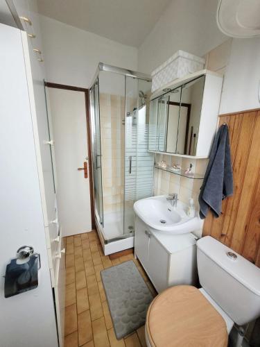 a bathroom with a toilet and a sink and a shower at Evasion du Stade in Saint-Denis