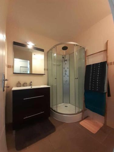 une salle de bain avec une douche en verre et un lavabo dans l'établissement Proche Gare et Centre Ville, à Narbonne