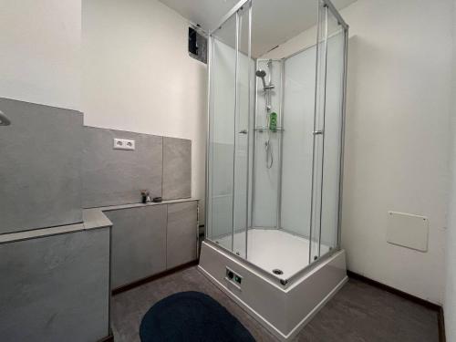 een badkamer met een douche met een glazen wand bij Simplex Apartments Am Schwabentor in Freiburg im Breisgau