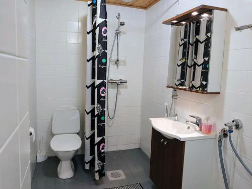 Koupelna v ubytování Viihtyisä huoneisto Tahkolla