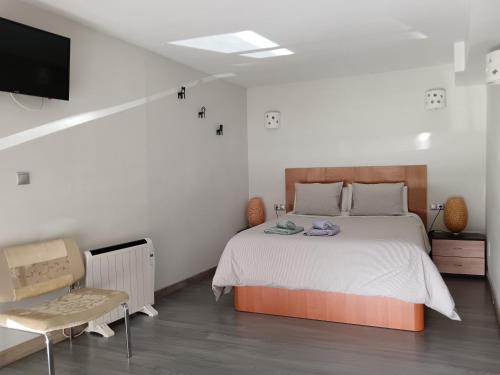 1 dormitorio con 1 cama y TV en Apartamento La Machacona TENERIAS, en Cáceres