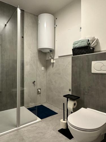 e bagno con servizi igienici e doccia in vetro. di Harmony Living - Graz Stadion Liebenau a Graz