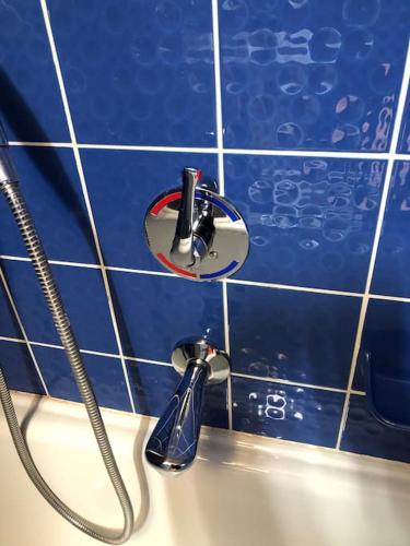 a blue tiled bathroom with a toothbrush and a sink at Schwarzwald Apartment mit Terasse in Schönwald