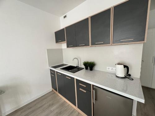 kuchnia z czarno-białymi szafkami i zlewem w obiekcie Apartament Katowicka w Poznaniu