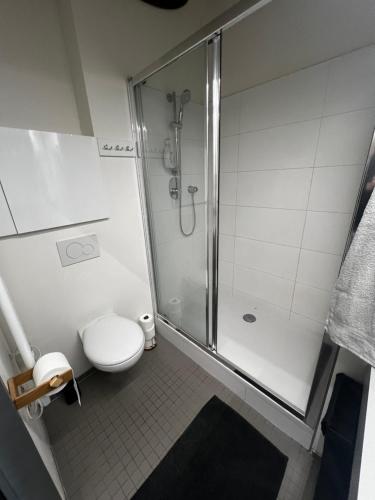 y baño con ducha y aseo. en 1 bedroom loft apartment en Zlín