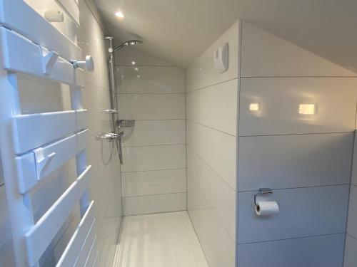 bagno con doccia e dispenser di carta igienica di La Maison du cèdre a Dossenheim-sur-Zinsel