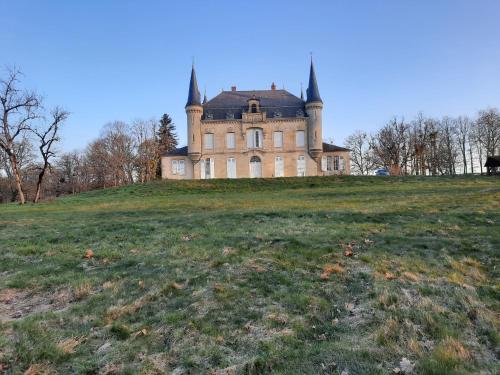 un viejo castillo en la cima de una colina de hierba en Chateau Le Plessis, en Sémelay