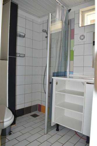 a bathroom with a shower and a toilet at Billund countryside Appartement in Give