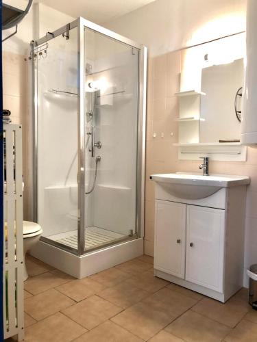 a bathroom with a shower and a sink at Résidence Padovani Marina in Calcatoggio