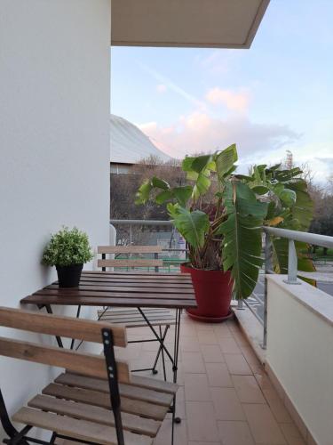 einen Balkon mit zwei Holzbänken und Topfpflanzen in der Unterkunft Villa Prana Guesthouse, Yoga & Ayurveda in Portimão