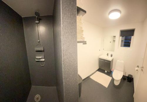 a bathroom with a toilet and a sink at Apartment in Tórshavn. in Tórshavn