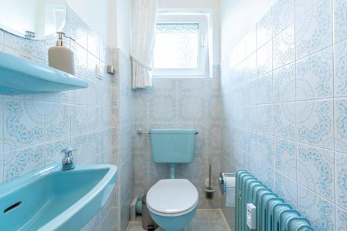 La salle de bains est pourvue de toilettes bleues et d'un lavabo. dans l'établissement lionApartments Leverkusen #2, à Leverkusen