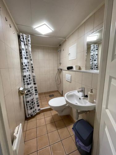 La salle de bains est pourvue de toilettes et d'un lavabo. dans l'établissement Bakkebo Rampestreken, à Åndalsnes