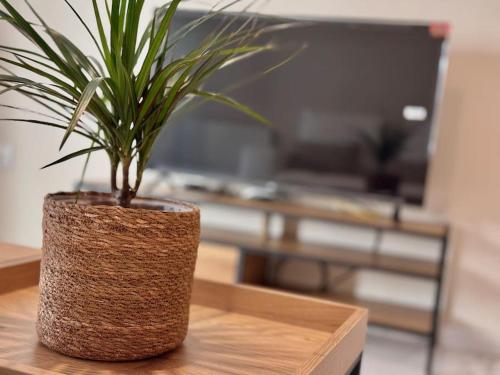 Apartamento en PLENO CENTRO con APARCAMIENTO opcional