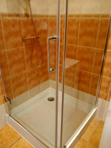 a shower with a glass door in a bathroom at Urocza 20 KRAKÓW in Krakow