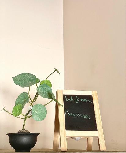 a plant in a pot next to a chalkboard at Mohalla Rooftop Retreat in Karachi