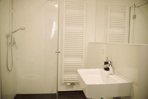 ein weißes Bad mit einem Waschbecken und einer Dusche in der Unterkunft De la vie Reutlingen - Altstadt Apartment an Stadthalle & am Marktplatz in Reutlingen