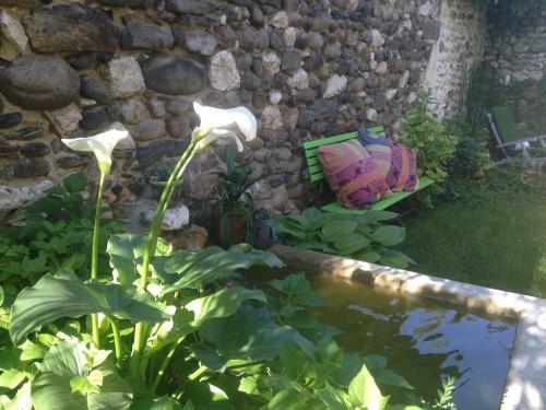 a garden with a pond and some plants and a bench at Maison chez nous in Izeron