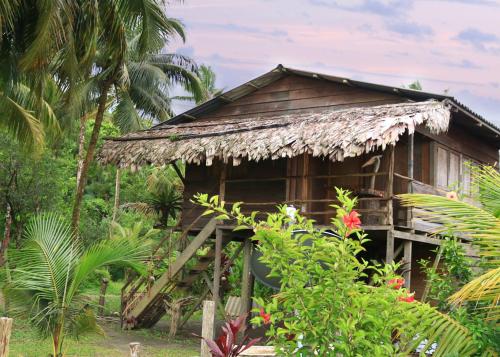 a small wooden hut with a thatched roof at Coco House in Buenaventura