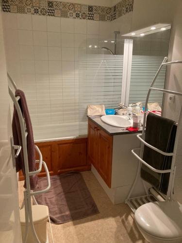 une salle de bain avec un lavabo et des toilettes dans l'établissement Bel appartement en duplex, à Loudenvielle