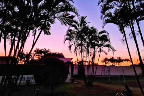 a group of palm trees in front of a sunset at Chácara em Boituva com piscina e churrasqueira in Boituva