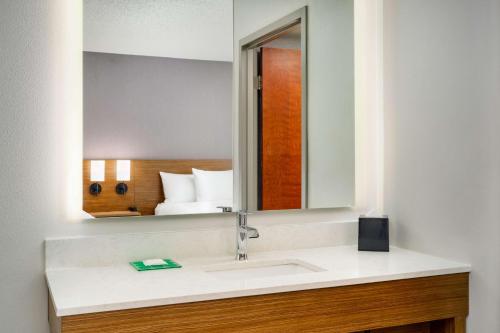 a bathroom with a sink and a mirror at Hyatt Place Greensboro in Greensboro