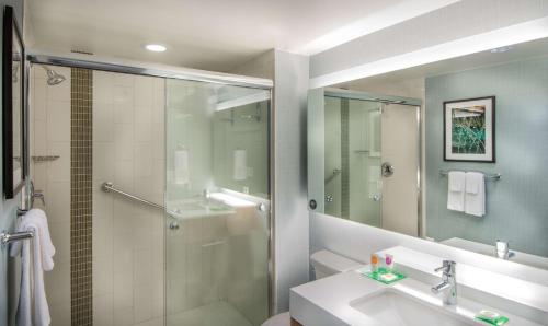 a bathroom with a shower and a sink at Hyatt Place Washington D.C./National Mall in Washington