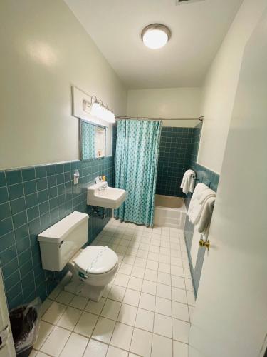 a bathroom with a toilet and a sink at Excelsior at the Manor House in Clemmons