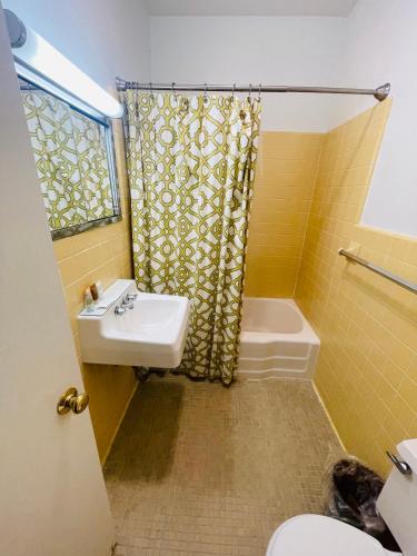a bathroom with a sink and a toilet and a shower at Excelsior at the Manor House in Clemmons