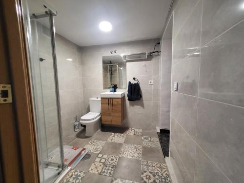a bathroom with a shower and a toilet and a sink at Casa Oasis Puertollano, una casa rural en Puertollano, agradable, con Piscina en zona tranquila in Puertollano