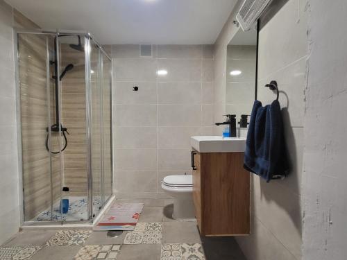 ein Bad mit einer Dusche, einem WC und einem Waschbecken in der Unterkunft Casa Rural Oasis, una casa rural en Puertollano, agradable, con Piscina en zona tranquila in Puertollano
