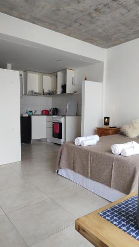 Imagine Depto في لا بلاتا: غرفة معيشة مع سرير ومطبخ