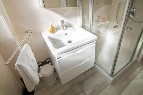 La salle de bains blanche est pourvue d'un lavabo et d'une douche. dans l'établissement Fewo-Gyde-3-Haustiere-erlaubt-WLAN-kostenlos, à Norddeich