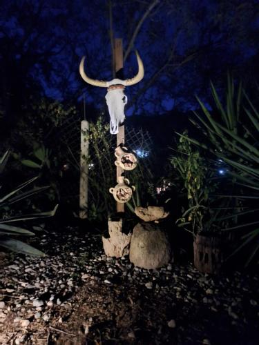 a skull of a cow with horns on a pole at Huayápam Yù'ú Lodge in San Andrés Huayapan