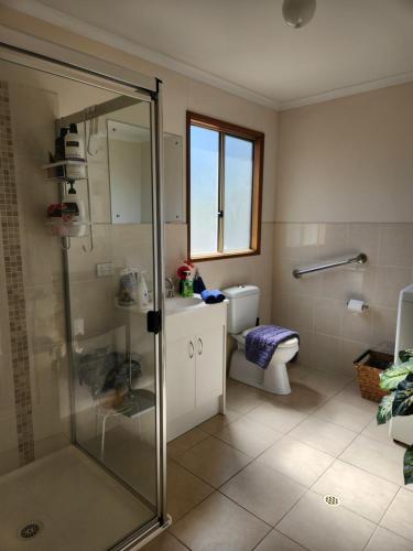 a bathroom with a shower and a toilet at Taylor Cottage 