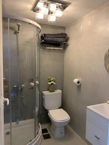 een badkamer met een toilet en een glazen douche bij Hermoso y funcional studio zona consulados. in Bahía Blanca