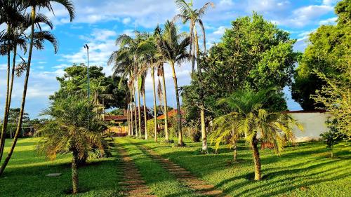 a row of palm trees on a grass field at Chácara em Boituva com piscina e churrasqueira in Boituva