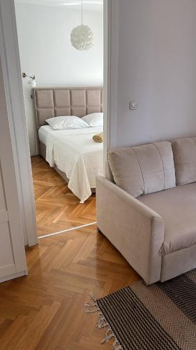 Zia suite
